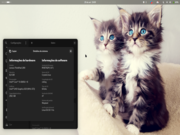 Dois gatos num Gnome